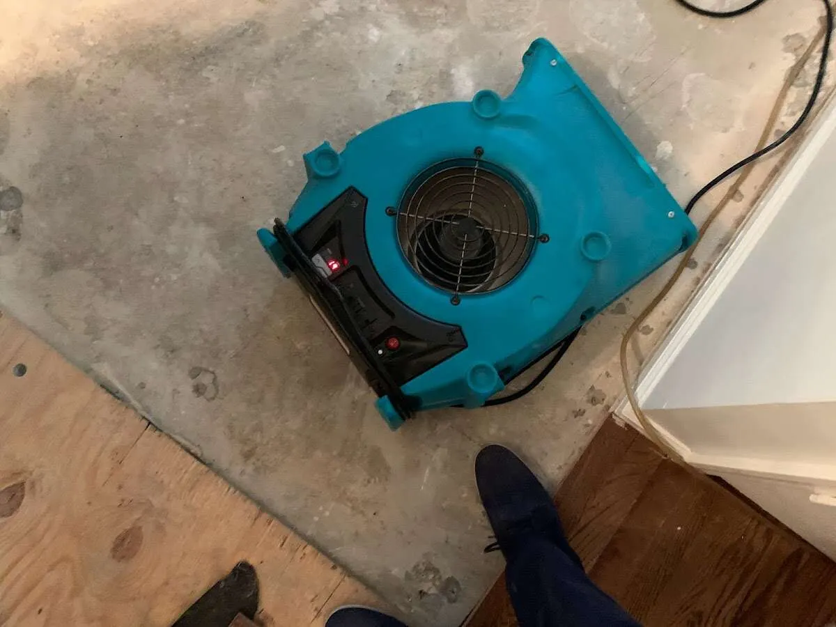 Air mover drying subfloor during Commercial Water Damage Restoration in Palm Harbor