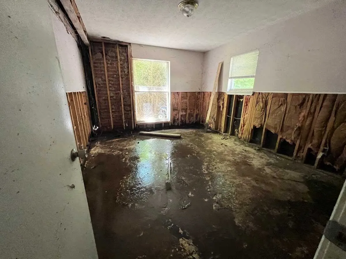 Water Damage Restoration services in Palm Harbor, FL