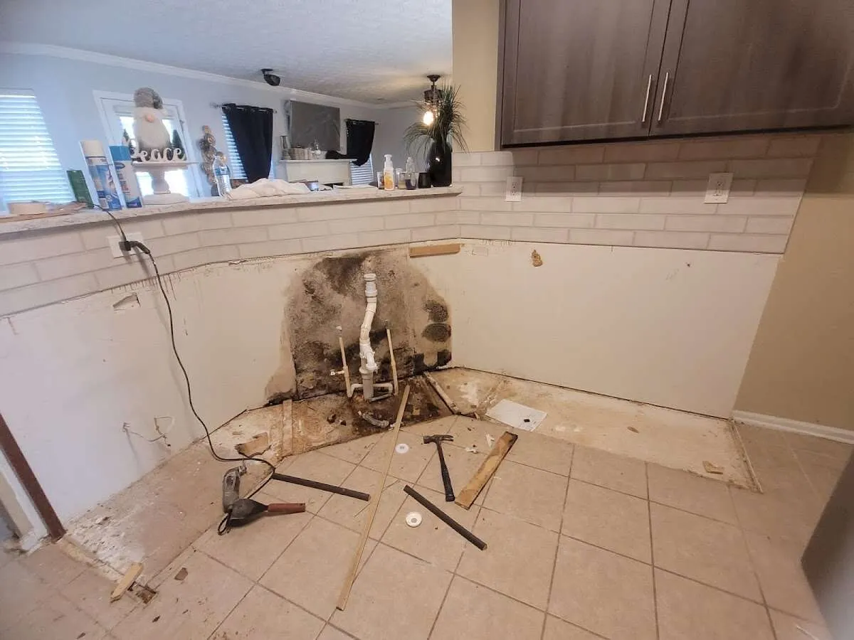 Mold behind wall with plumbing during Flood Damage Cleanup in Palm Harbor